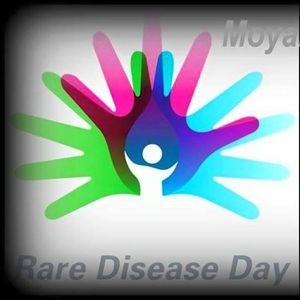 Meet your Posher, Roslyn